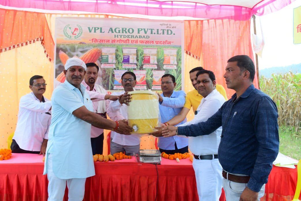 High-tillering hybrid paddy trial in Medak district